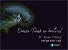 Central Fisheries Baord Brown Trout In Ireland Book Everything Else