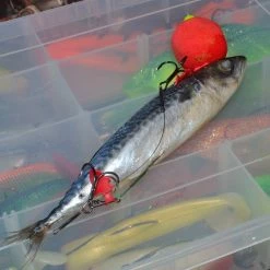 Greys Prowla Bait Flags Predator Shop