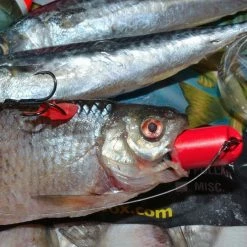 Greys Prowla Bait Flags Predator Shop