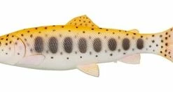 Savage Gear 3D Craft Trout Pulsetail Lures