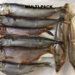 Rebel Pike Multi Pack Deadbait