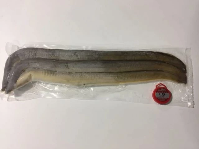 Bait Shop Rebel Pike Freshwater Eels 1 Bait Shop Rebel Pike Freshwater Eels