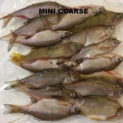 Rebel Pike Roach Deadbait