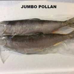 Rebel Pike Pollan Deadbait Bait Shop