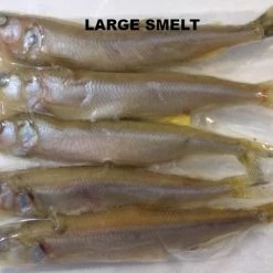 Bait Shop Rebel Pike Smelt Deadbait