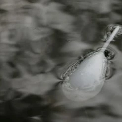 Korda Interceptor Controller Float Coarse & Match Shop