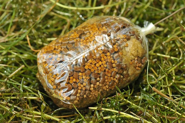 Korda Solidz PVA Bags 3 Korda Solidz PVA Bags