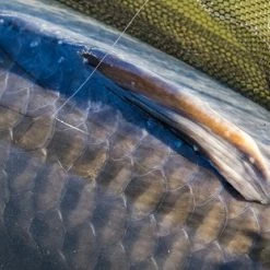 PB Products Ghost Dragonfly Fluorocarbon Mainline