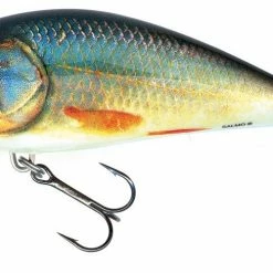 Salmo Fatso Jerkbait 14cm Floating