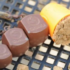 Guru Square Leads Carp Shop