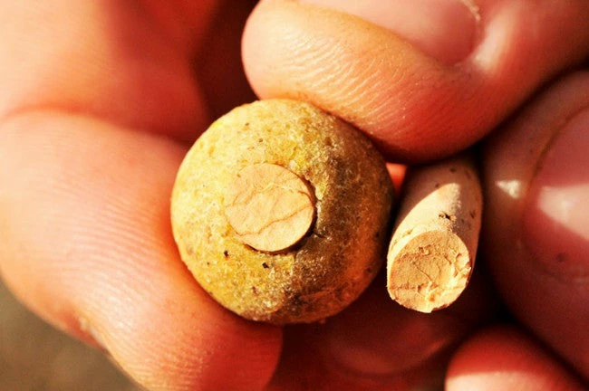 Korda Bait Drill & Cork Sticks Carp Shop 3 Korda Bait Drill & Cork Sticks Carp Shop