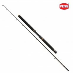Penn Regiment II XT Boat Rods Sea Shop