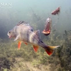 Coarse & Match Shop Drennan Feeder Bombs