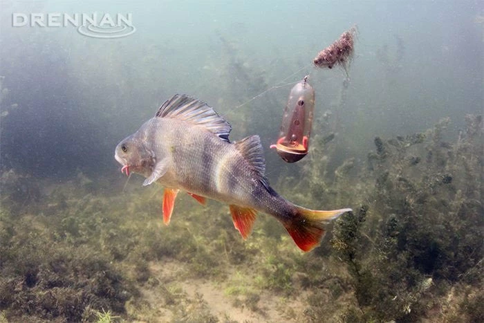 Coarse & Match Shop Drennan Feeder Bombs 2 Coarse & Match Shop Drennan Feeder Bombs