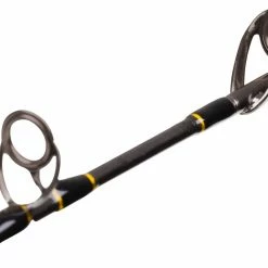 Penn Regiment II XT Boat Rods Sea Shop