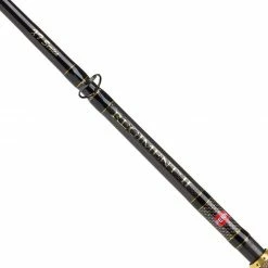 Penn Regiment II XT Boat Rods Sea Shop