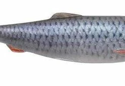 Savage Gear 4D Herring Shad Lures 6 Savage Gear 4D Herring Shad Lures